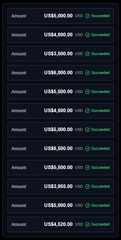 Payment results showing successful transactions